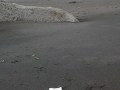 IMG-20161121-WA0013