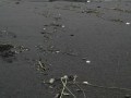 IMG-20161121-WA0015
