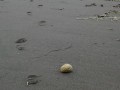 IMG-20161121-WA0016