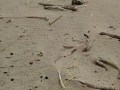 IMG-20161127-WA0001