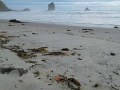 IMG-20161128-WA0007