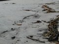 IMG-20161128-WA0009