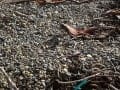 IMG-20161130-WA0007